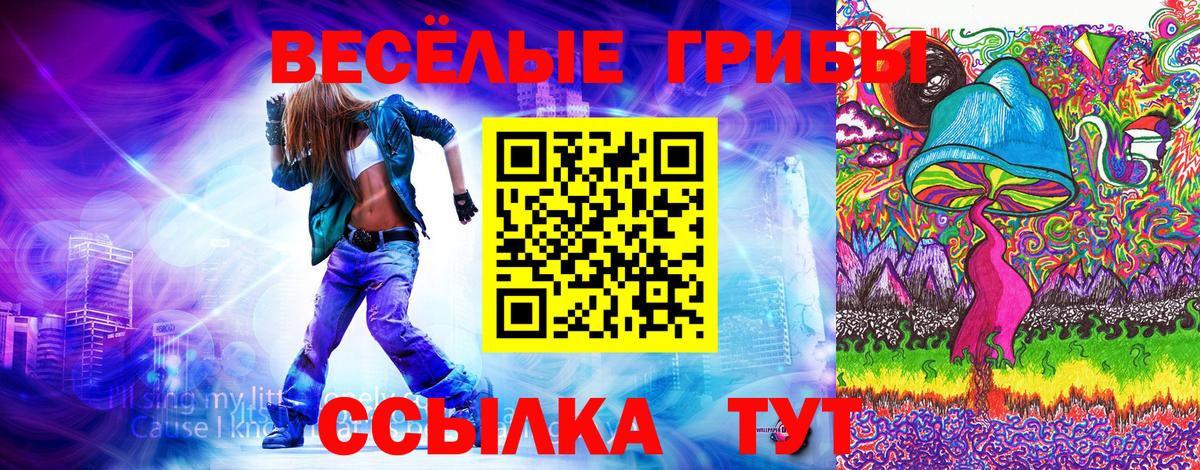 Миасс  Галлюциногенные грибы мицелий  Вход с VPN 